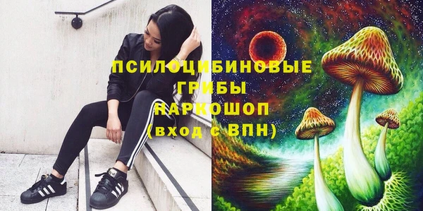 Альфа ПВП Беломорск