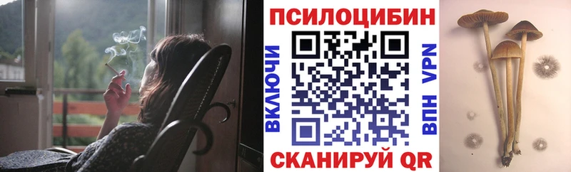 Галлюциногенные грибы Cubensis Кыштым